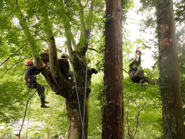 thbs6_8%e6%9c%88_%e3%83%95%e3%82%99%e3%83%ad%e3%82%af%e3%82%99